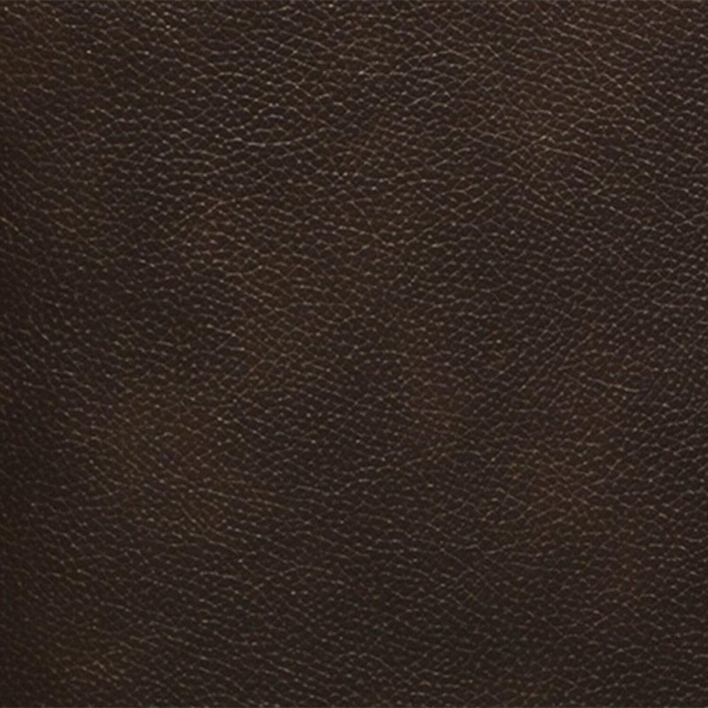 Curt Genuine Leather Chair – Brown Furniture