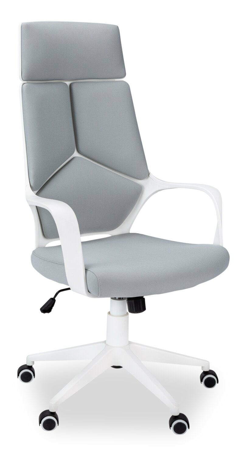 Hayes 25″ Executive Office Chair – White & Grey Chairs