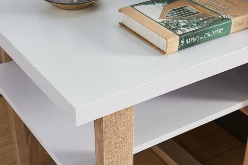 Izaac 22″ Modern End Table With Shelf – White And Brown End Tables